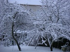 2004-01-30 Neige
