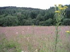 Juillet04-052