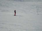 IMG 3130